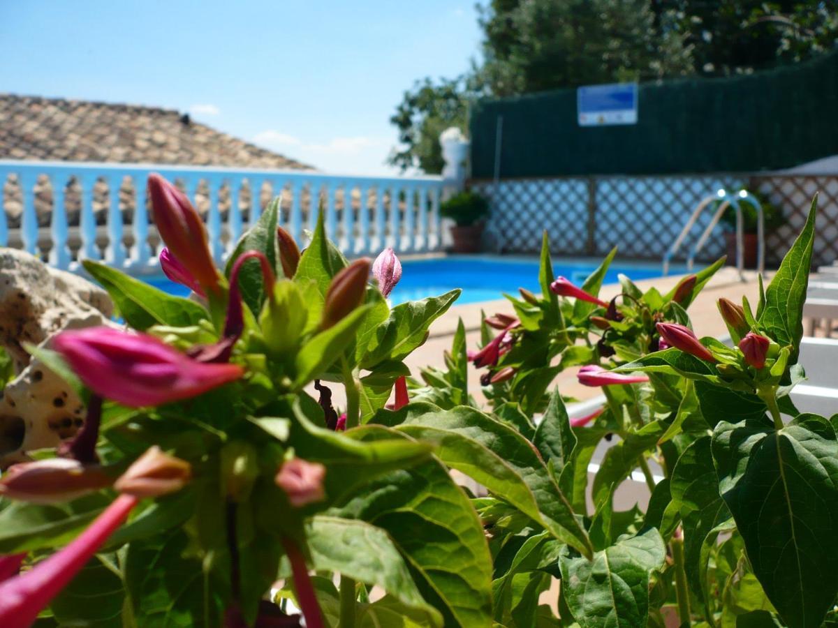 Hostal Rural Moratin Pastrana Εξωτερικό φωτογραφία